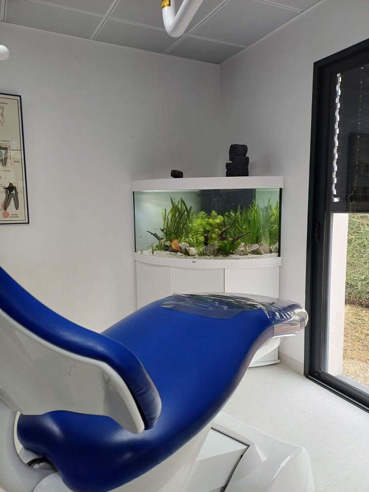 Création d'aquarium - Loire-Atlantique