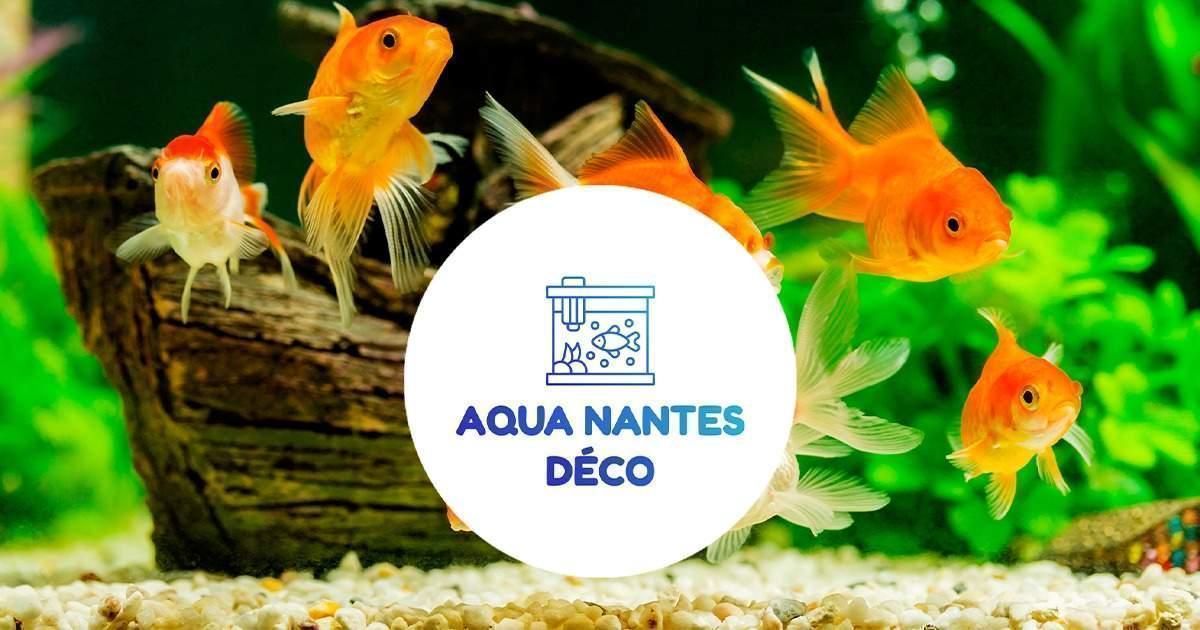 Aqua Nantes Deco